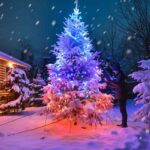 Smart LED Christmas lights-2