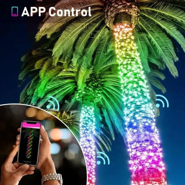 DIY LED RGB Fairy Lamp 5V USB Night Light Strings Smart Bluetooth APP for BedRoom Christmas Tree Garland Party Courtyard Decor - Image 3